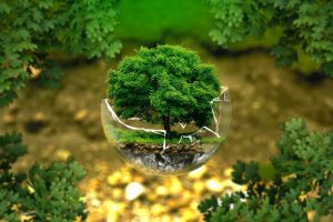 why becoming eco friendly is so important