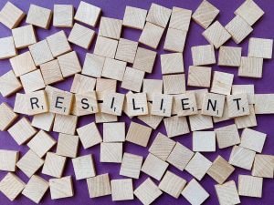 how does resilience complement sustainability